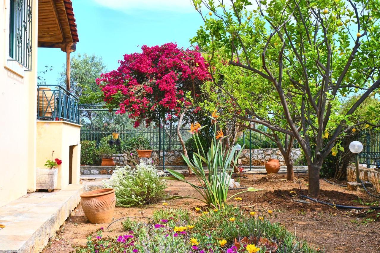 Pavlos' Cottage With Beach View Korfos Bagian luar foto